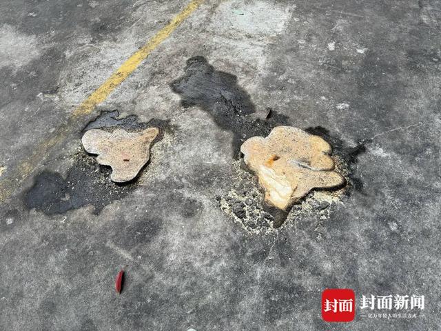 小区大树被砍成树桩 家属委员会：树木占用部分消防通道、压电线 砍伐有报备｜云投诉(图1)