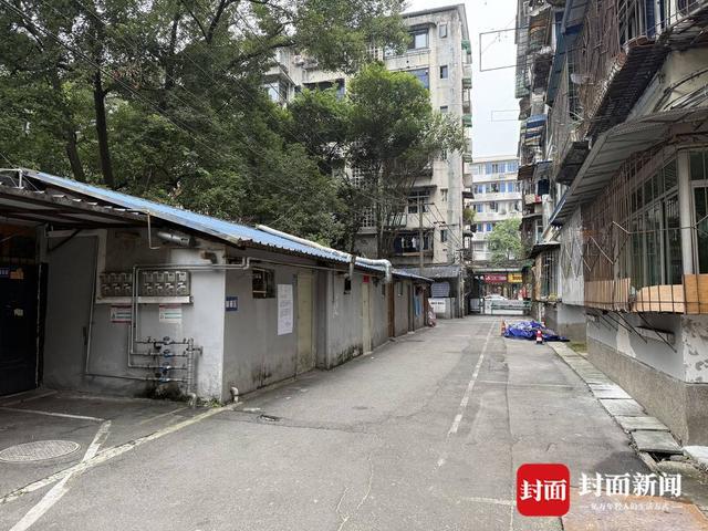 小区大树被砍成树桩 家属委员会：树木占用部分消防通道、压电线 砍伐有报备｜云投诉(图4)