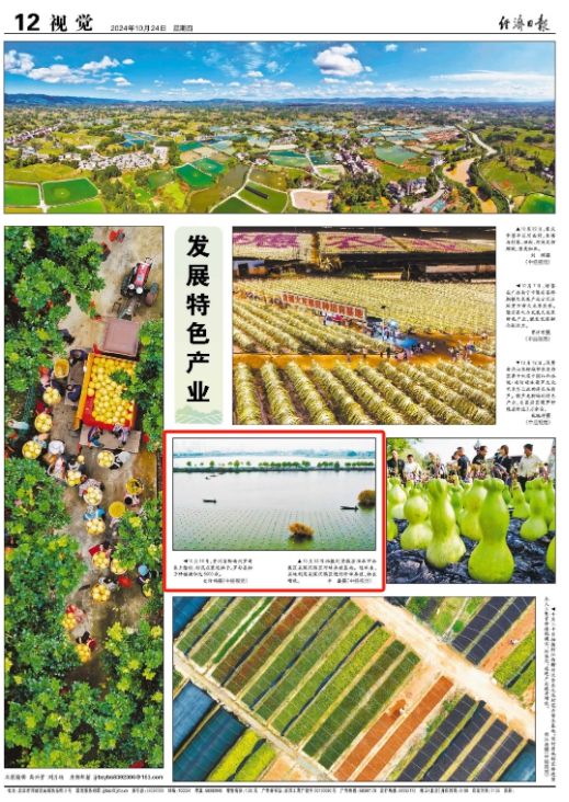 金秋十月淮北被央媒、省媒高频次关注！(图4)