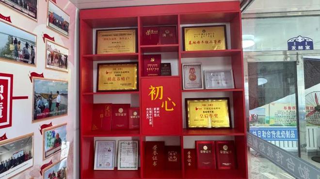 自治区代表布和白乙：26年深耕“牛事业”(图1)