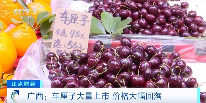 便宜了！广西车厘子大量上市 部分卖到15元一斤(图2)