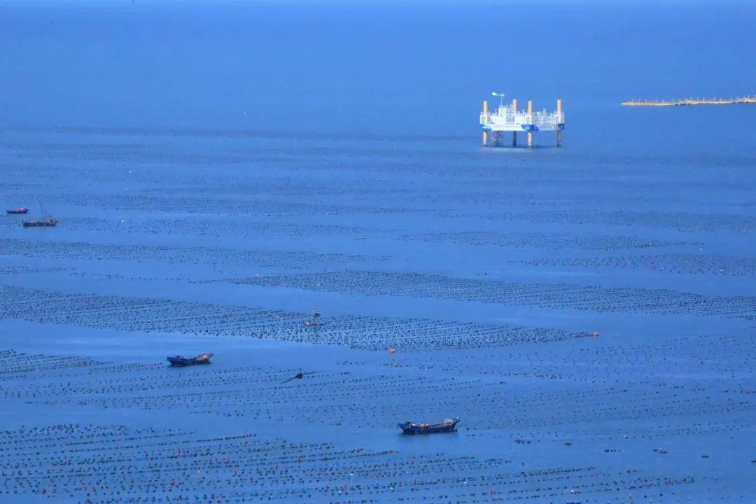 重磅｜千里山海共潮生——习总考察山东重要讲话精神的巾帼实践(图5)