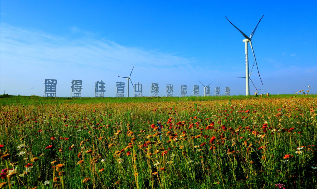 重磅｜千里山海共潮生——习总考察山东重要讲话精神的巾帼实践(图7)