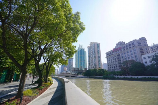 又一条Citywalk路线 漫步苏河畔领略绿色与历史(图9)