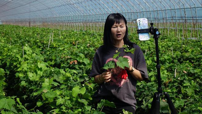 葫芦岛兴城市：用好流量“新农具” 育好乡土“新农人”(图1)