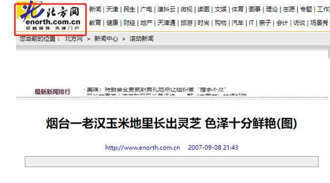 2007年烟台玉米地长“灵芝”专家看过后村民立马跑回家拿铁锹(图3)