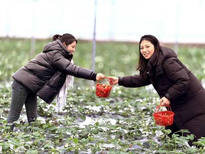 上市啦！开启冬日简阳的“莓”好时光(图3)