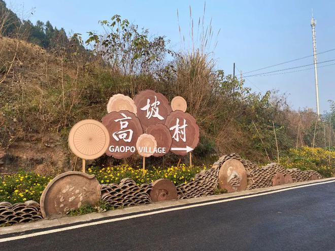 上市啦！开启冬日简阳的“莓”好时光(图8)