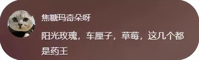 狂炫3斤车厘子女子进急诊！网友：不是车厘子坏是人心太黑了(图5)
