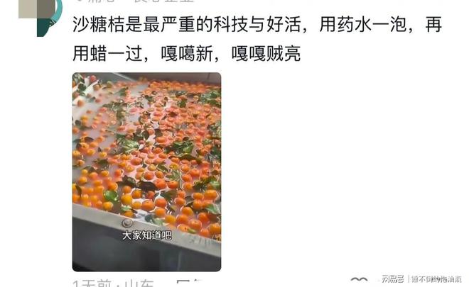 完了！阳光玫瑰车厘子砂糖橘之后黄瓜也崩盘了因为大家觉醒了(图8)