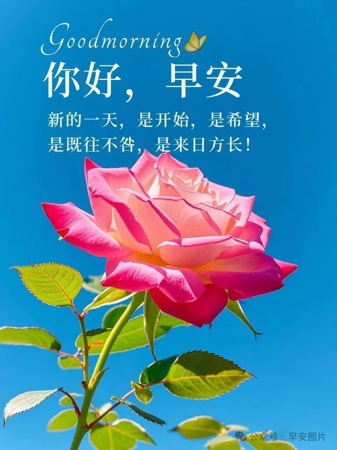 早安温馨祝福心语图片带字群发问候祝福语！星期六晨安吉祥~冬日安康！(图7)