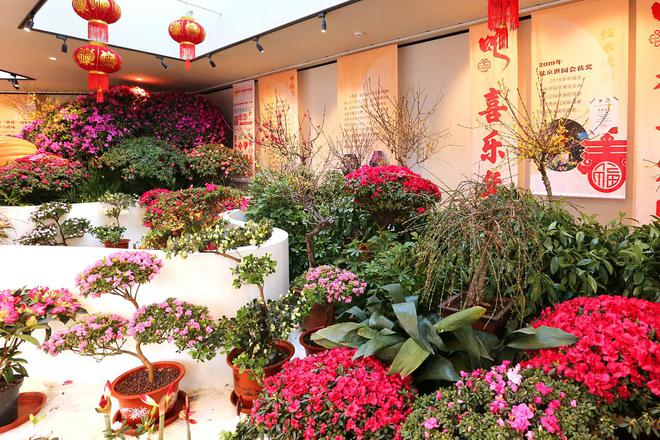 赏花玩雪北京市属公园开启蛇年新春游园活动(图2)