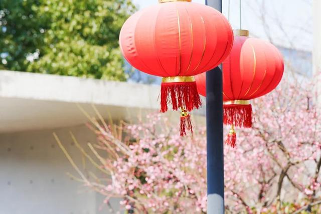 限定美景上线！长宁这里的“赏梅地图”请查收→(图5)