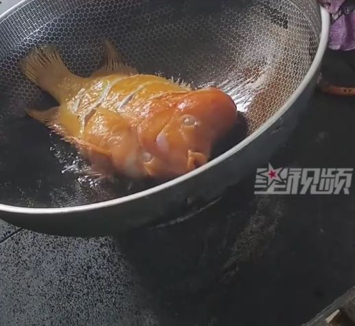 成本有点高！家养财神鱼死掉男子起锅烧油含泪吃下味道意外(图2)
