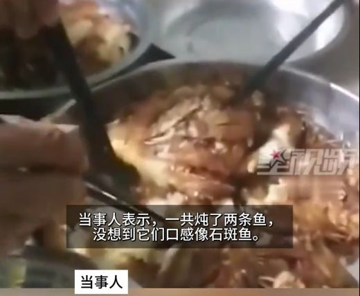 成本有点高！家养财神鱼死掉男子起锅烧油含泪吃下味道意外(图3)