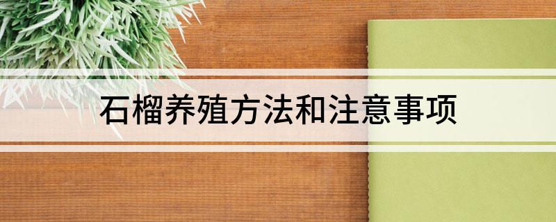 石榴养殖方法和注意事项(图1)