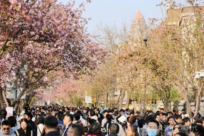 十二月令花神之“天津海棠花”诗联征稿启事(图1)