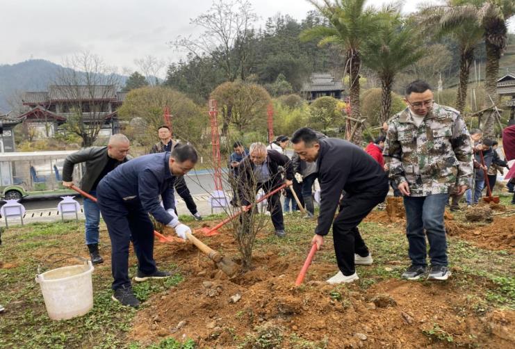 携手栽种石榴树 同心铸牢中华民族共同体意识——黔南州开展“同心·石榴园”植树活动(图1)